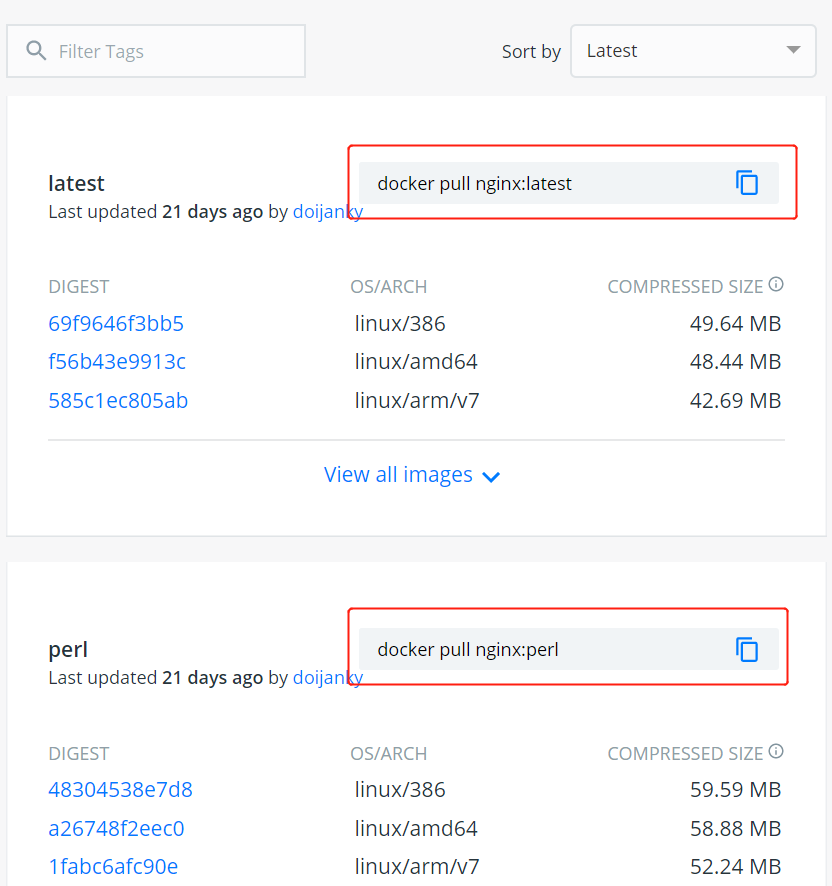 Docker 安装 Nginx