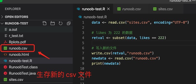 R CSV 文件