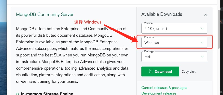 Windows 平台安装 MongoDB