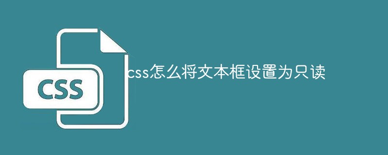 css怎么将文本框设置为只读-css教程