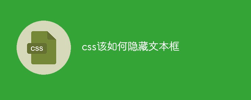 css该如何隐藏文本框-css教程