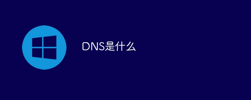 DNS是什么-windows运维