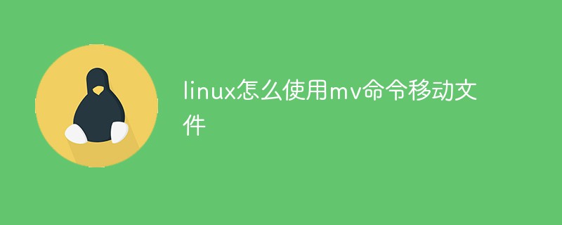 linux怎么使用mv命令移动文件-linux运维