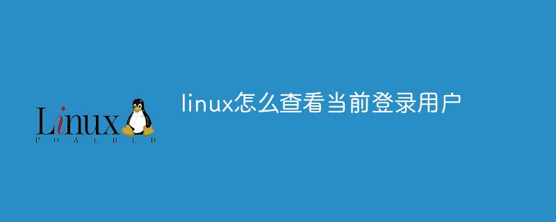 linux怎么查看当前登录用户-linux运维