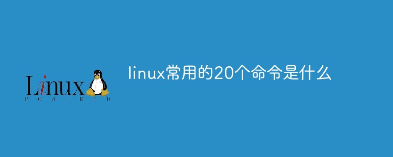 linux常用的20个命令是什么-linux运维