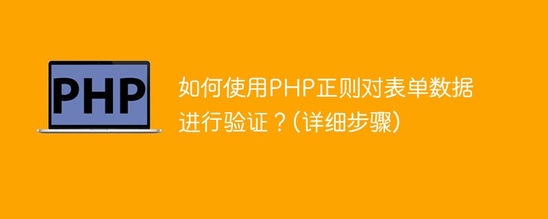 如何使用PHP正则对表单数据进行验证？(详细步骤)-PHP问题