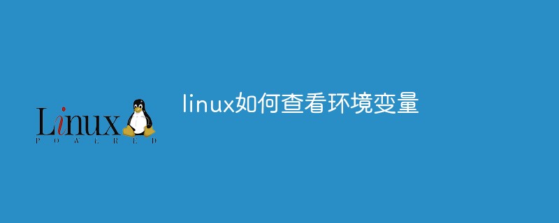 linux如何查看环境变量-linux运维