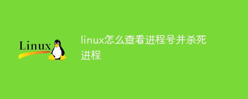 linux怎么查看进程号并杀死进程-linux运维