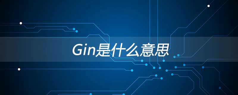 gin是什么意思？-Golang