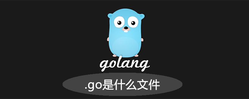 .go是什么文件-Golang