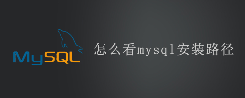 怎么看mysql安装路径-mysql教程