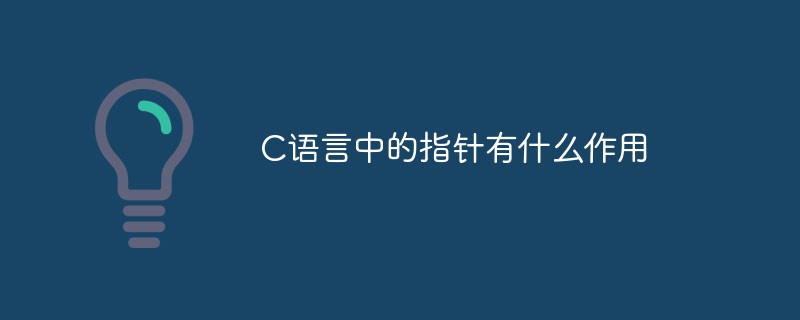 C语言中的指针有什么作用-C#.Net教程