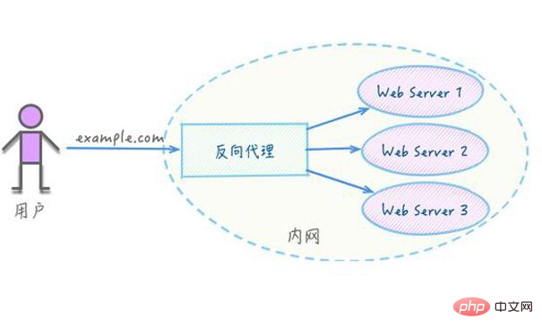 nginx有哪些常见的应用场景-Nginx