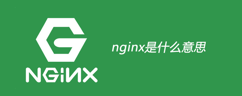 nginx是什么意思-Nginx