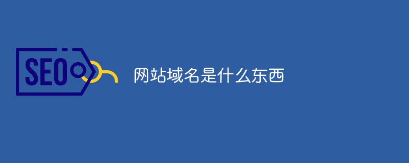 网站域名是什么东西-SEO