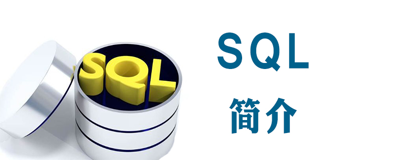 sql指的是什么