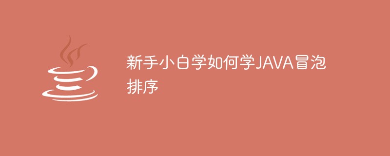 新手小白学如何学JAVA冒泡排序-java教程