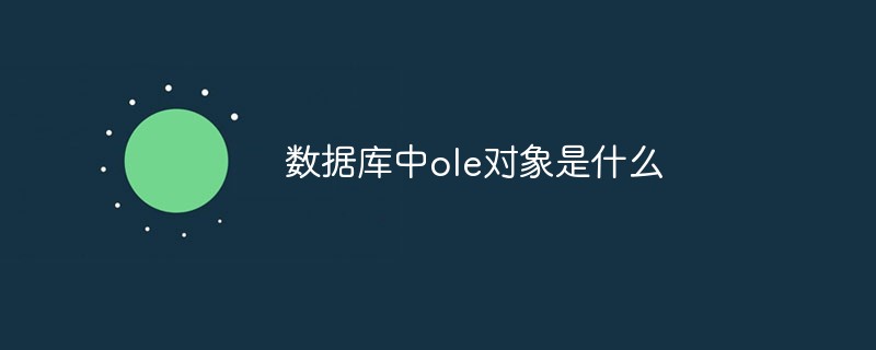 数据库中ole对象是什么-SQL