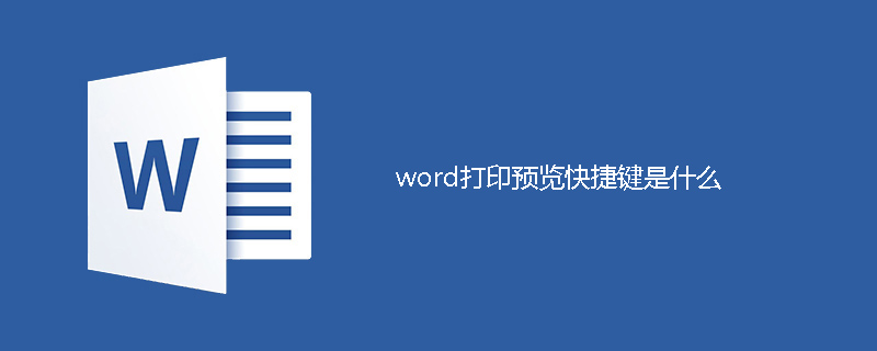 2021062013355219735990 word打印预览快捷键是什么