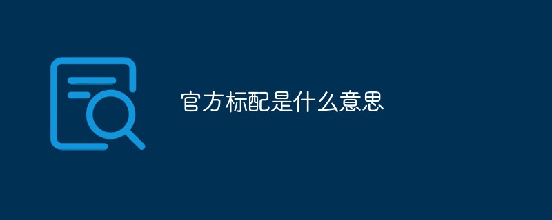 官方标配是什么意思