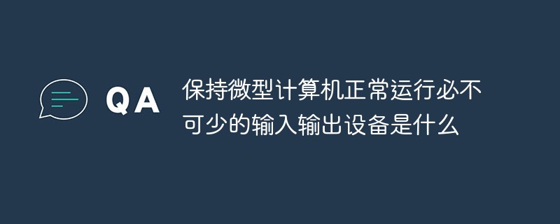 保持微型计算机正常运行必不可少的输入输出设备是什么