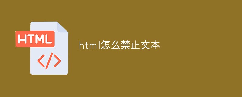 html怎么禁止文本