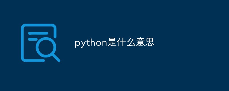 python是什么意思