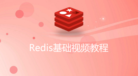 金九银十，学习正当时！ 小兔网新课不断上线中！