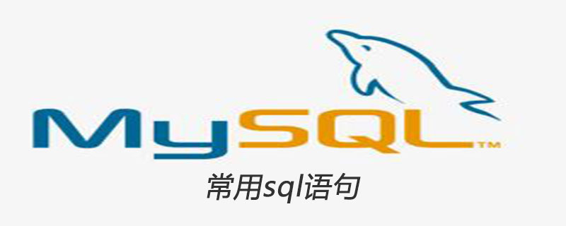 2021062103045517699530 常用sql语句有哪些