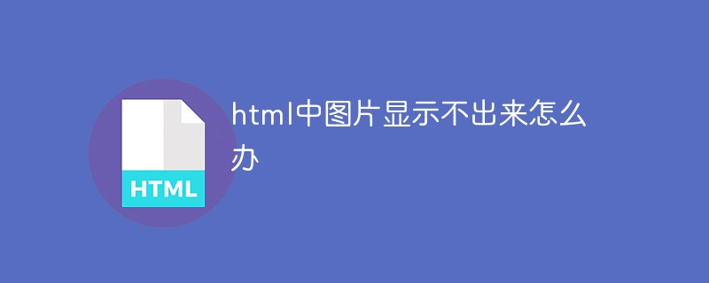 html中图片显示不出来怎么办