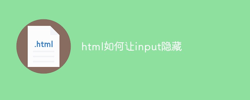 html如何让input隐藏