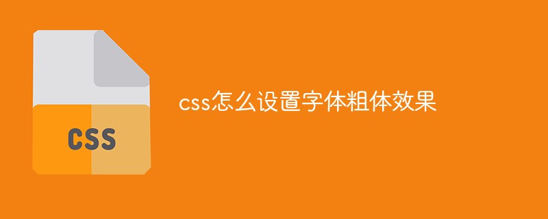 css怎么设置字体粗体效果