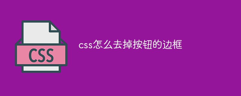 css怎么去掉按钮的边框