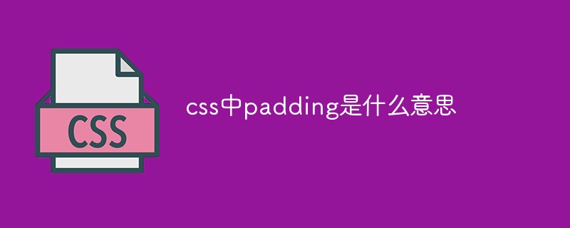 css中padding是什么意思