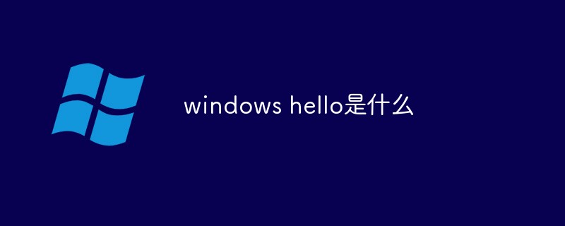 windows hello是什么