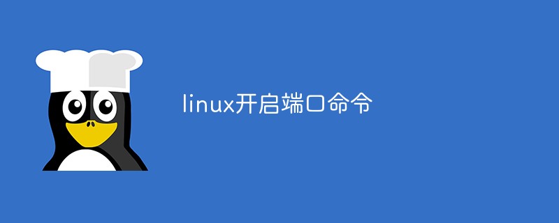 linux开启端口命令