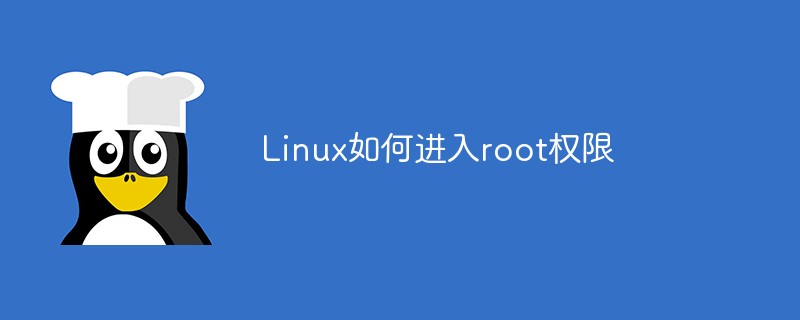 Linux如何进入root权限