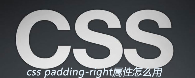 2021062106291318563610 css padding