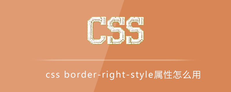 2021062106324413378800 css border