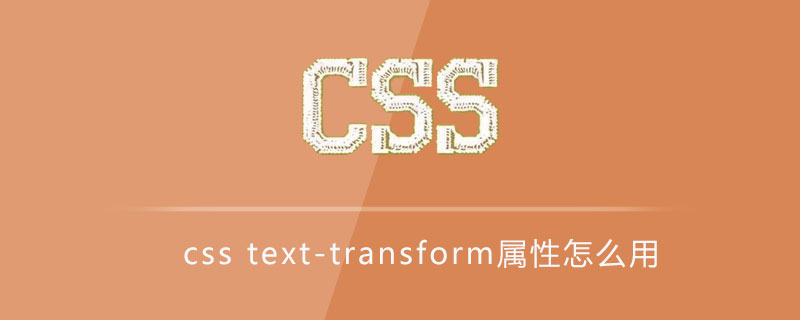 2021062106324716156840 css text