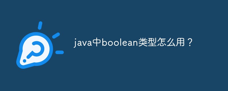 java中boolean类型怎么用？