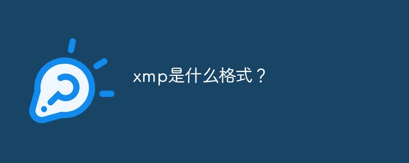 xmp是什么格式？