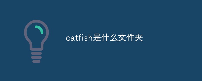 catfish是什么文件夹