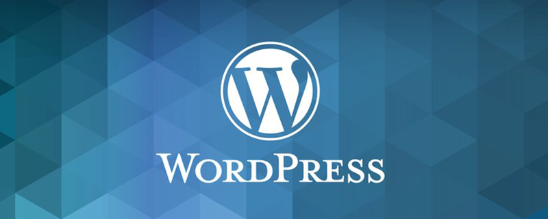 2021062107020416968130 wordpress多语言导航设置