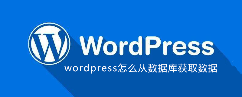 2021062107035610783030 wordpress怎么从数据库获取数据