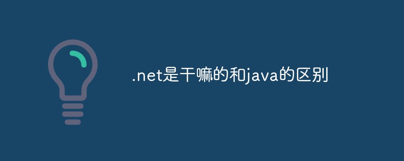 .net是干嘛的和java的区别