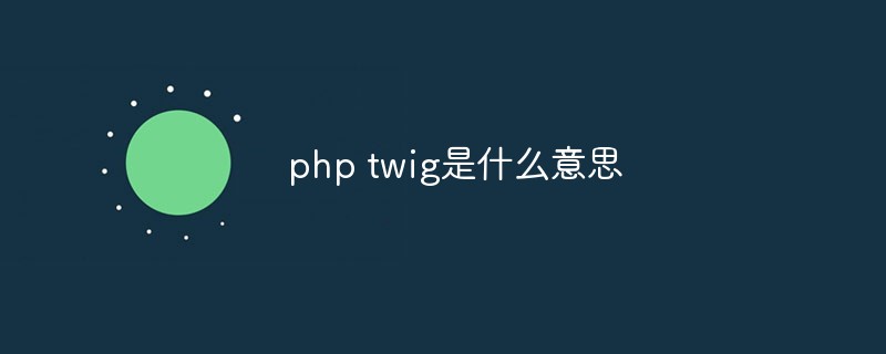 php twig是什么意思