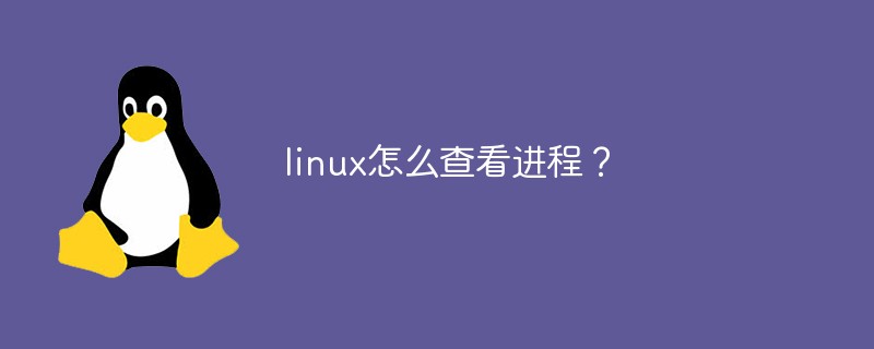 linux怎么查看进程？