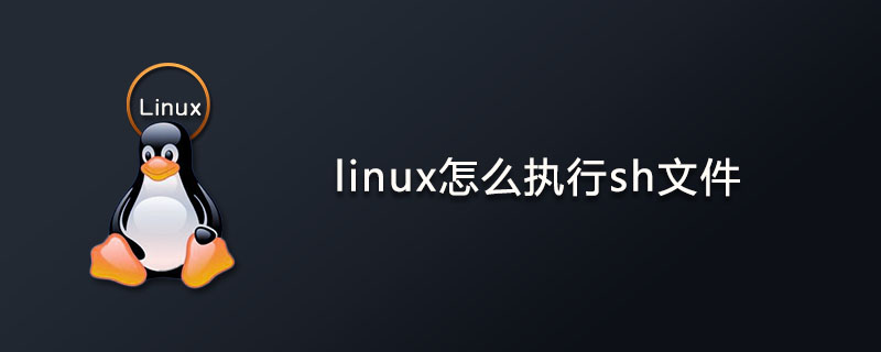 linux怎么执行sh文件