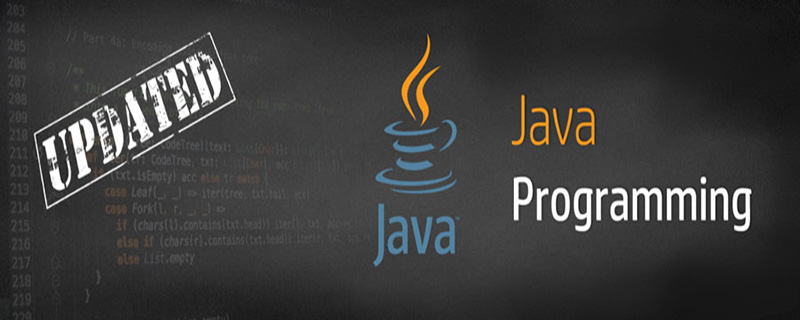 Java基础：变量